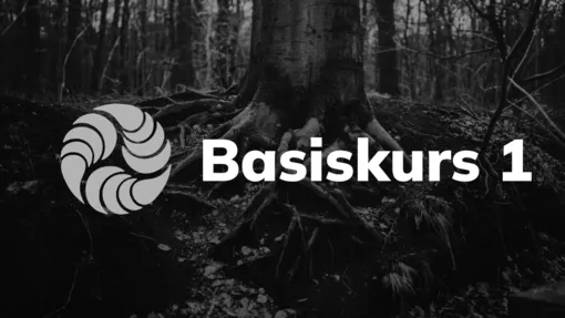 Basiskurs 1 :: August 2026